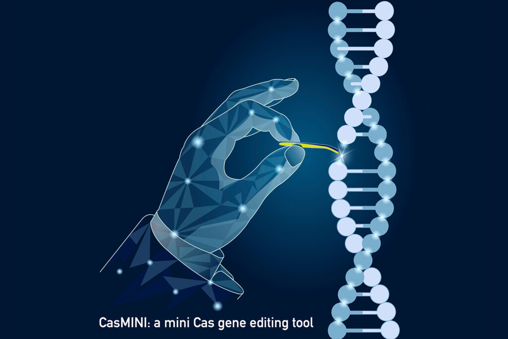 mini CRISPR