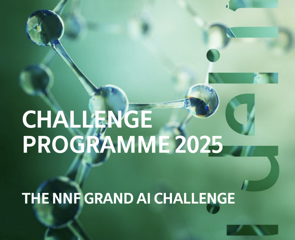 NNF Grand AI