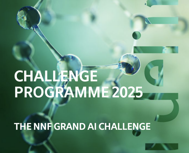 NNF Grand AI