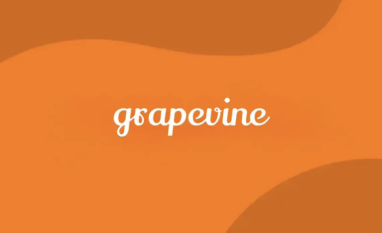 Grapevine Tech Grapevine Secures $4.1M to Scale AI-Driven Job Discovery and Interview ...