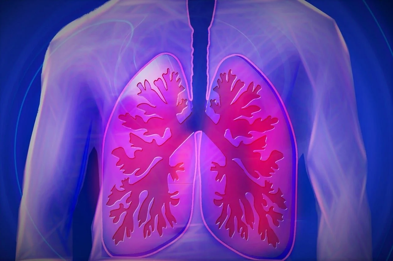 upper body, lung, copd, disease, doctor, finding, medicine, health check, health, examination, heal, pension, ill, investigate, therapy, ultrasound, healthy, lung, lung, lung, lung, lung, copd, copd